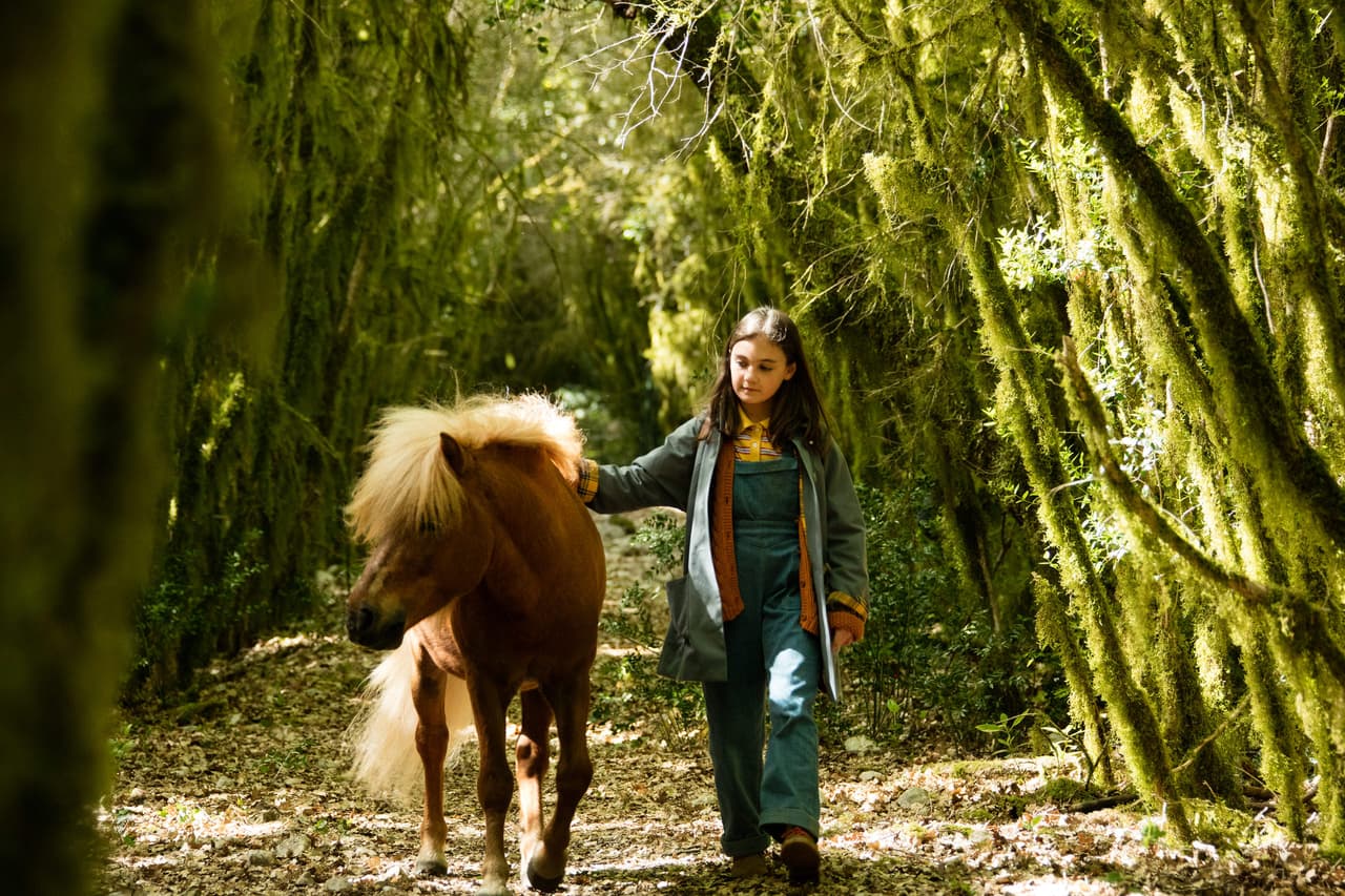 Una niña de tan solo diez años esta yendo al sur de Francia, cuando se encuentran con un circol La pequeña no tarda en darse cuenta del maltrato que hay con el pony Poly, la niña y el pony escapan para protegerlo del director del circo.