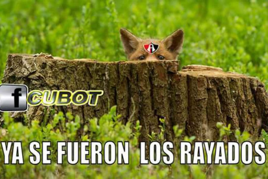 Memes de la jornada 3 del Apertura 2015