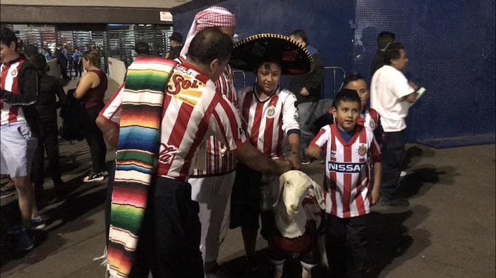 Así vivieron los aficionados los momentos previos al Súper Clásico por la Copa MX entre Águilas del América y Chivas del Guadalajara en el Estadio Azteca.