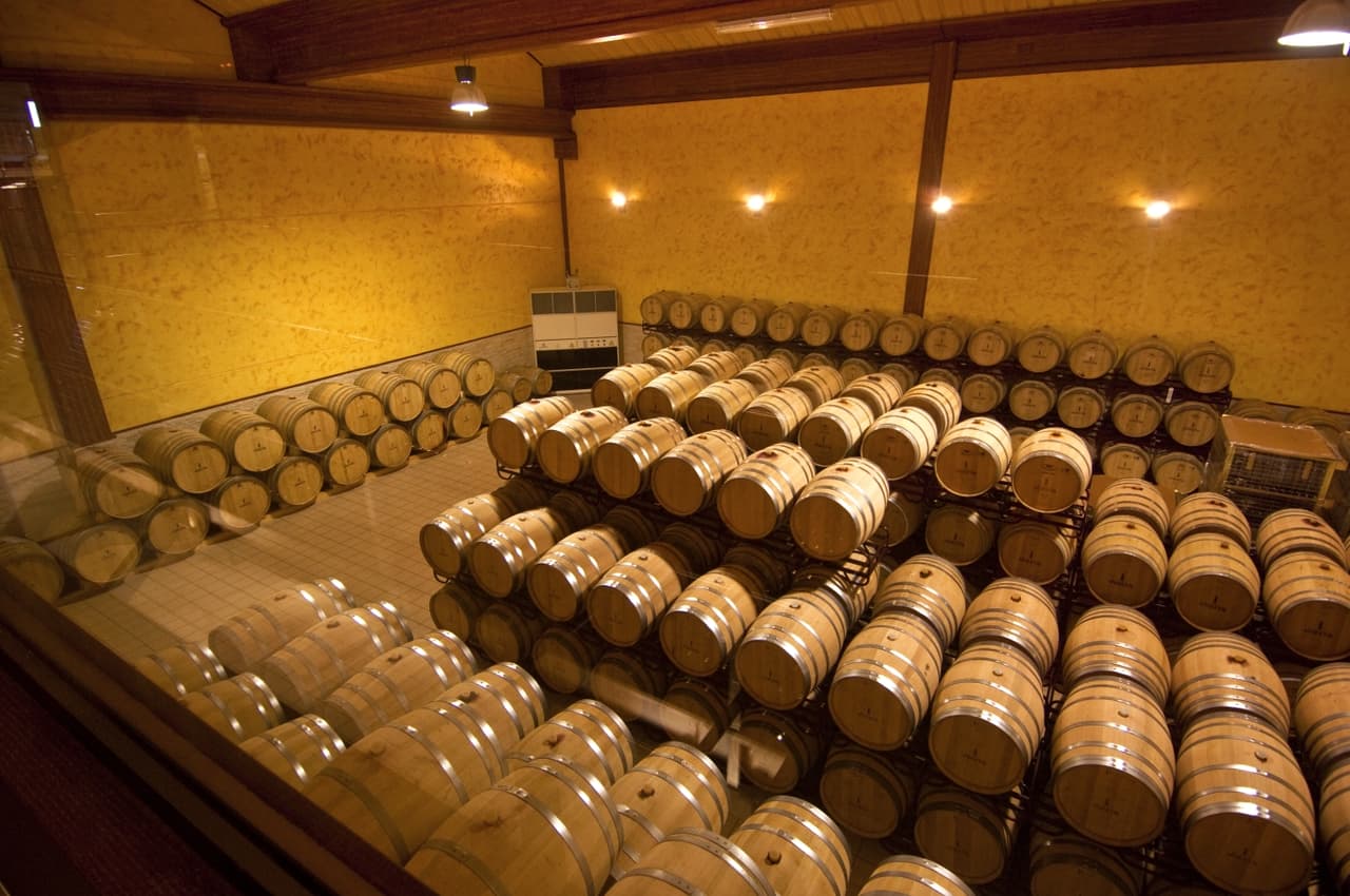 Ambos sectores de Bodegas Iniesta cuentan con especialista de primer nivel, aunque de momento el total de empleados es de 22.