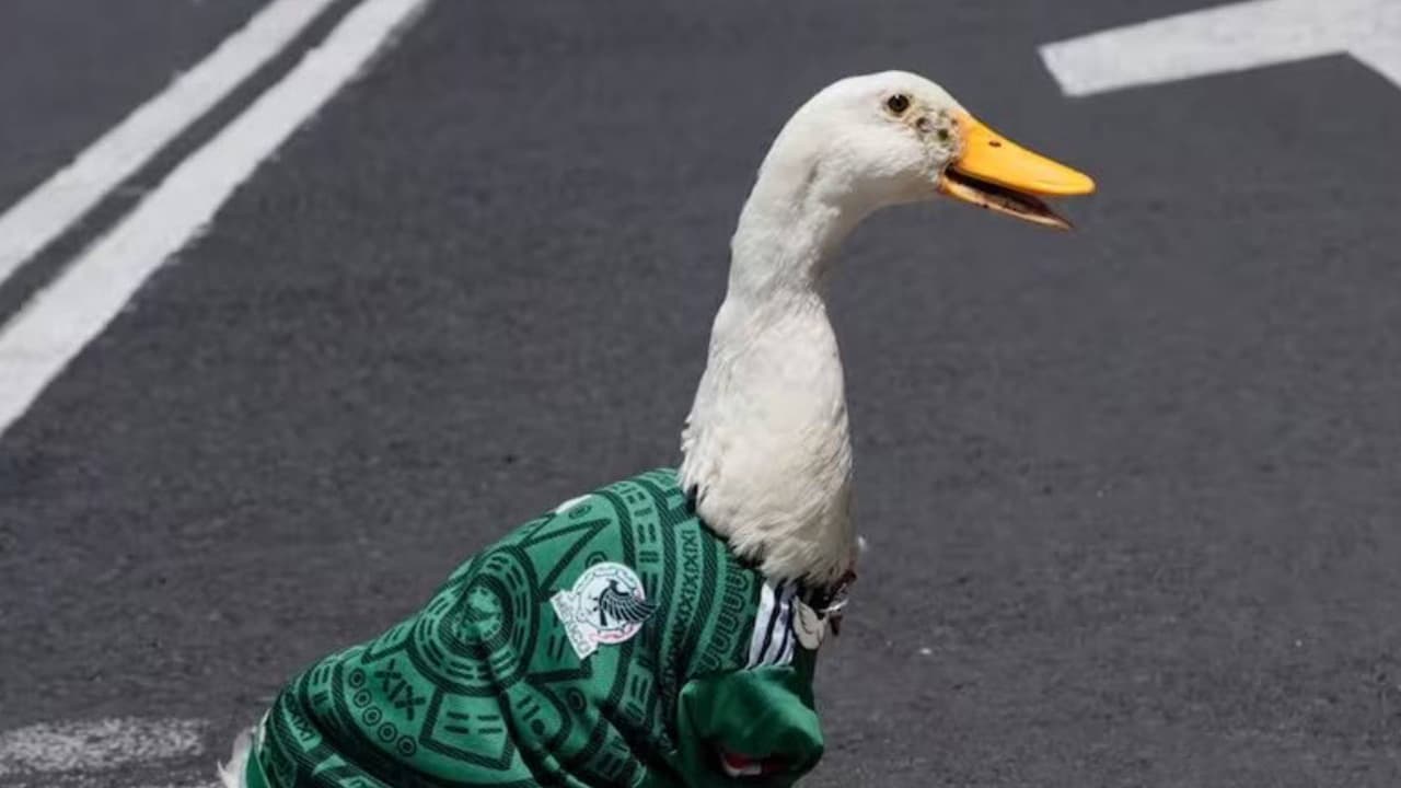 Pato Merlín fue nombrado Embajador de la Ciudad de México por la FIFA