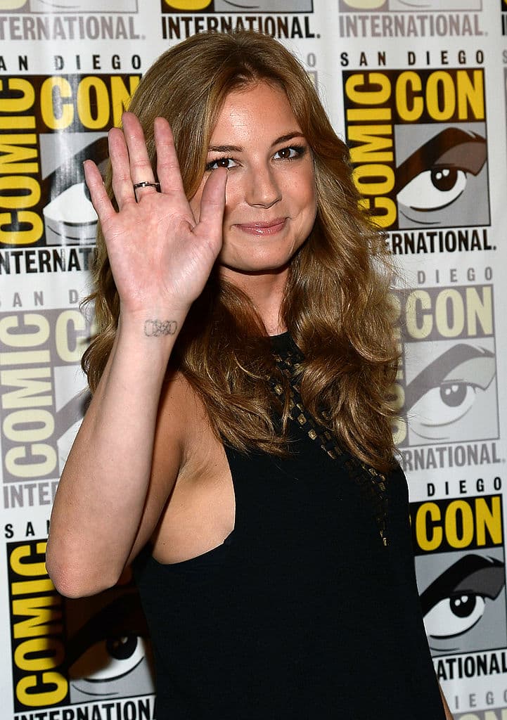 La nieta de Peggy Carter (dueña del corazón de Captain America), es una ex agente de S.H.I.E.L.D. que estará trabajando junto a Sam y Bucky.
<br>