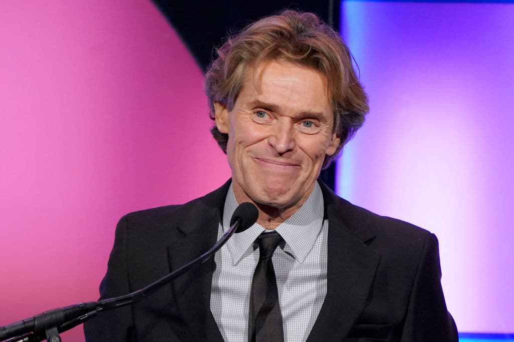 Un día le muerde una araña que ha sido modificada genéticamente; a la mañana siguiente, descubre estupefacto que posee la fuerza y la agilidad de ese insecto. Las aventuras del hombre araña se basan en el famoso cómic de Stan Lee y Steve Ditko.
<br>