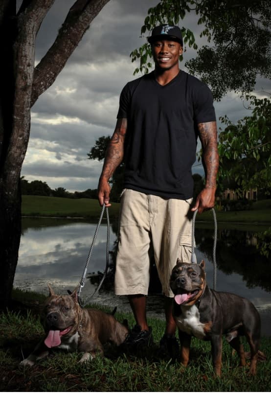 El receptor de los New York Jets de la NFL, 
<b>BRANDON MARSHALL</b>, con dos bellos ejemplares de pitbull.