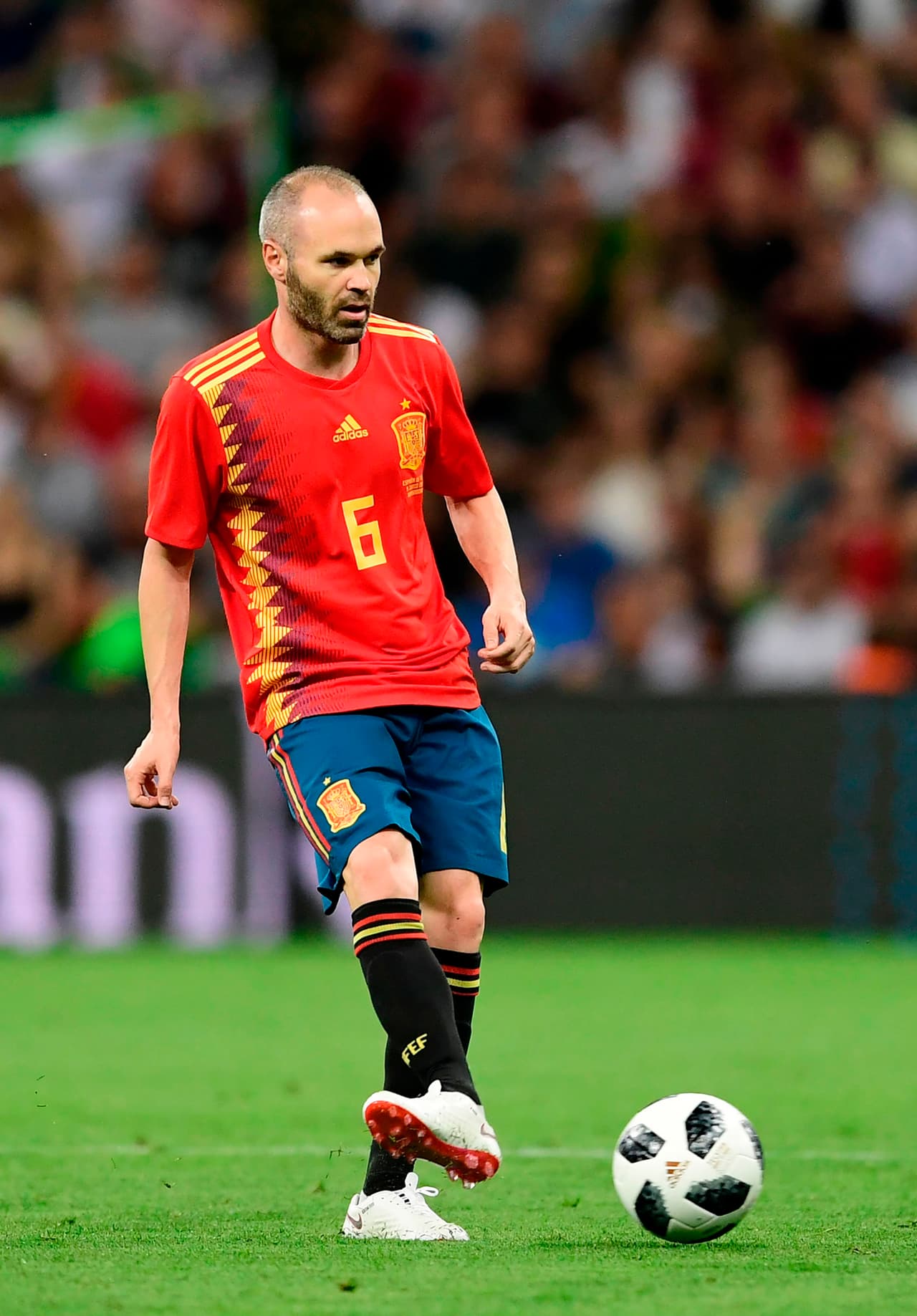 Mediocampista: Andrés Iniesta (España)