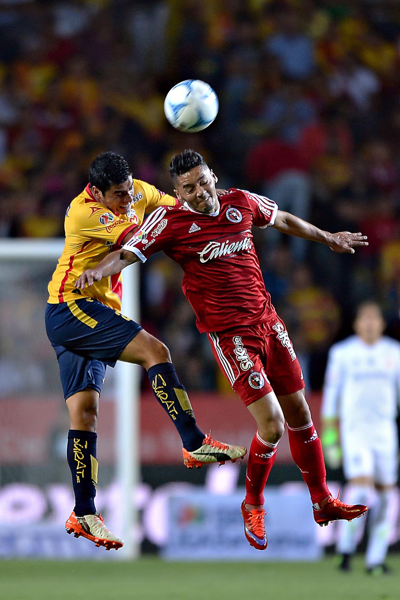 José María Cárdenas.