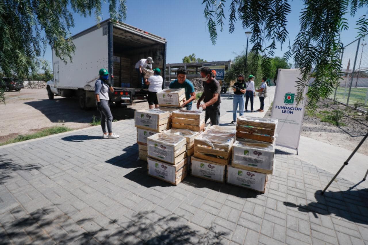 La afición respondió a la convocatoria de las ‘entradas virtuales’ y gracias a su cooperación, entregarán despensas a las familias más necesitadas. La directiva pretende continuar apoyando a las comunidades que se han visto afectadas por el coronavirus.