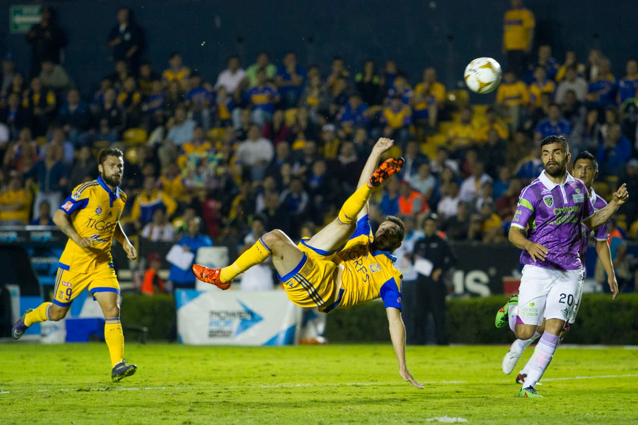 El delantero francés no solo fue la figura de Tigres, sino también de la Liga MX al conseguir 11 anotaciones en el torneo regular y dos más en la liguilla. Y ha demostrado que el fútbol mexicano le queda a la perfección