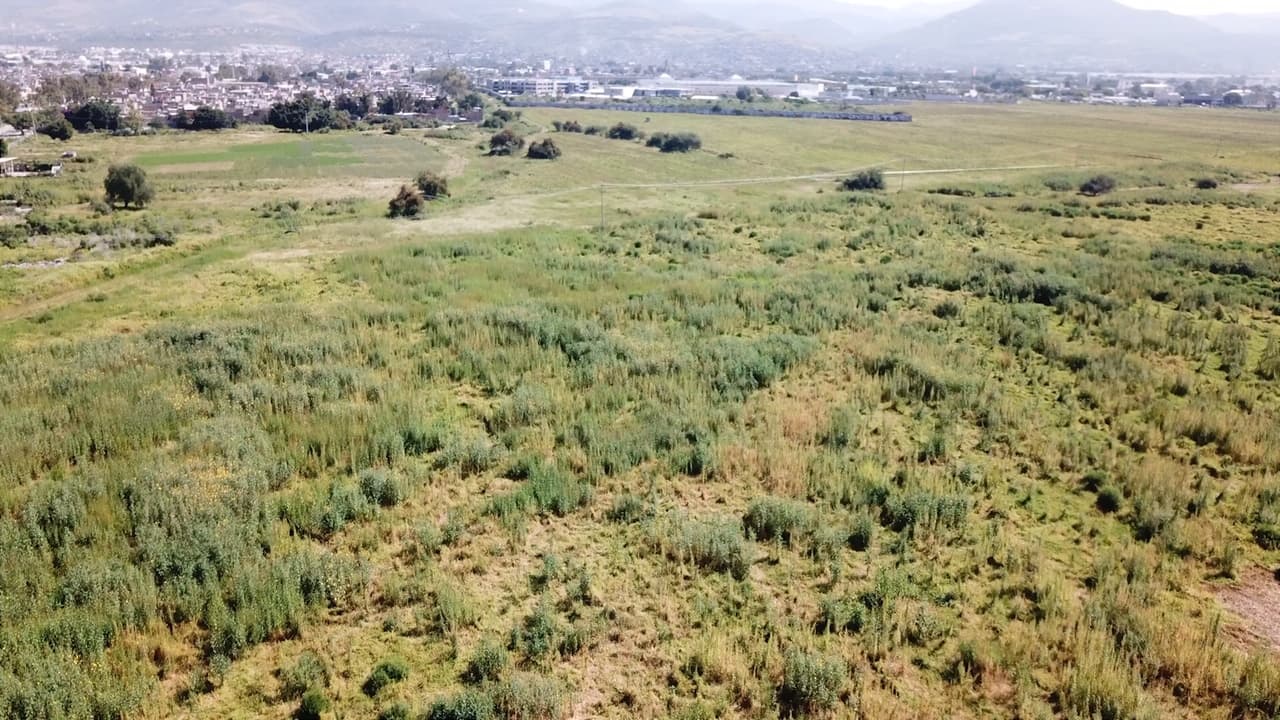 Terreno para la construcción del nuevo Estadio del León