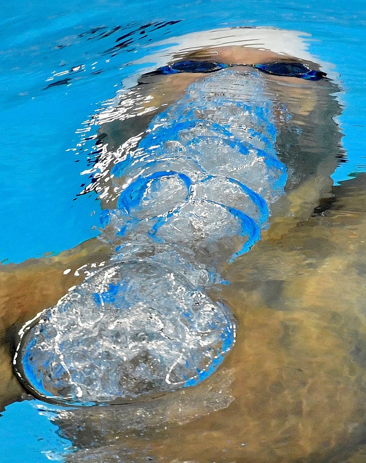 Mantener la respiración debajo del agua, fundamental para ganar segundos durante la competencia.