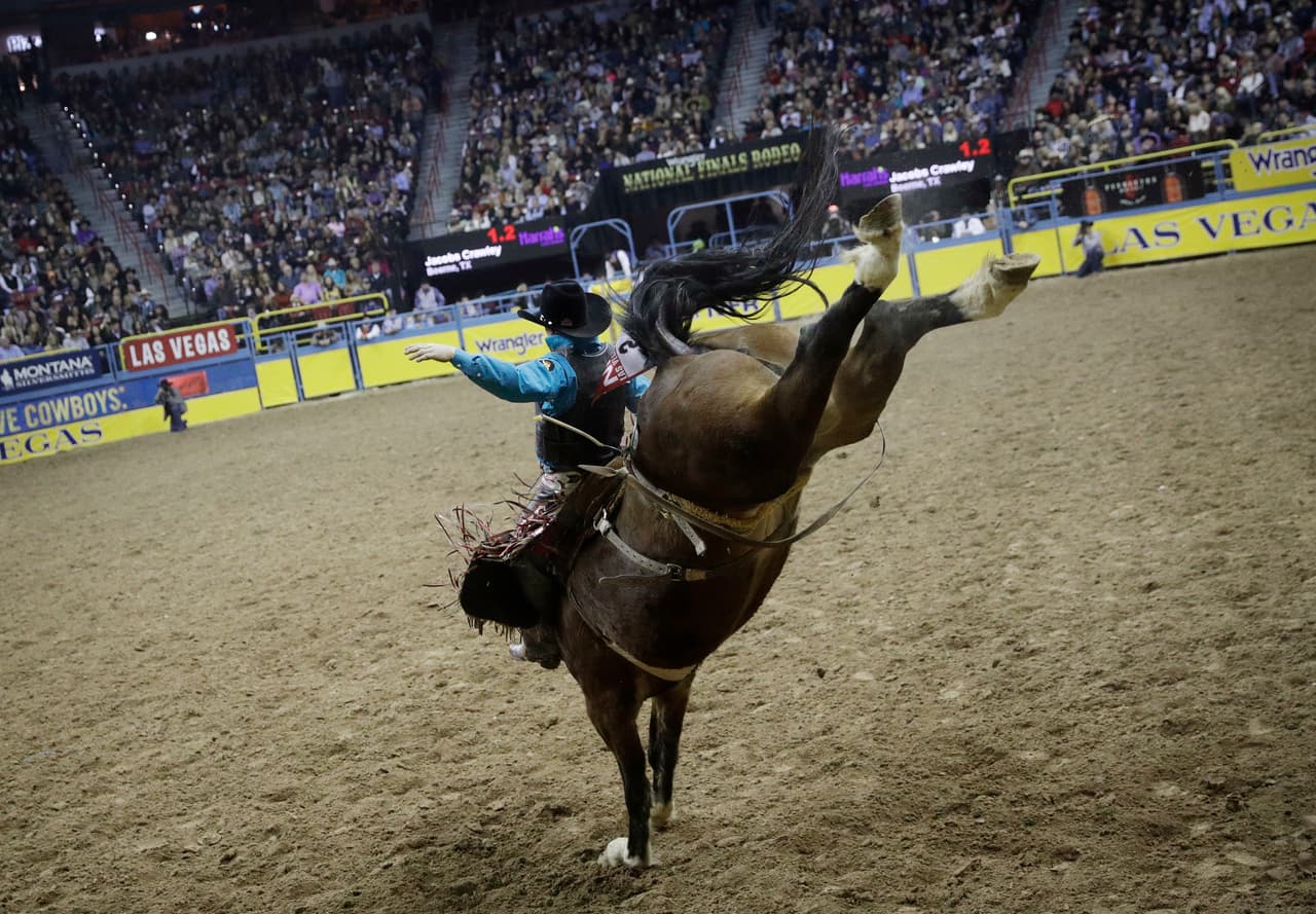 La acción característica de los vaqueros de Estados Unidos es uno de los espectáculos más grandes del año y los hoteles en Las Vegas reciben a los fanáticos con tarifas especiales para el evento.