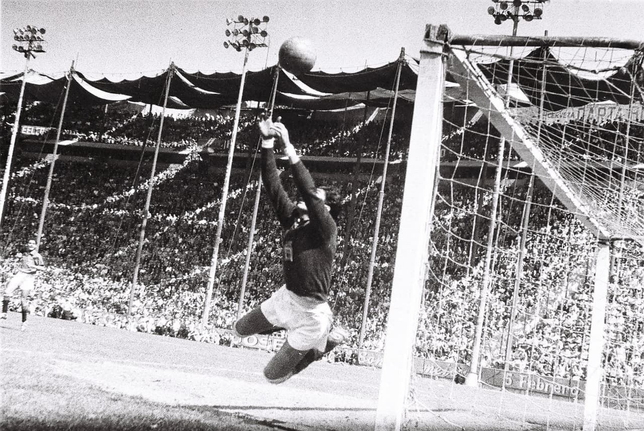 <b>Sus 5 Mundiales:</b>
<br>- Brasil 1950
<br>- Suiza 1954
<br>- Suecia 1958
<br>- Chile 1962
<br>- Inglaterra 1966