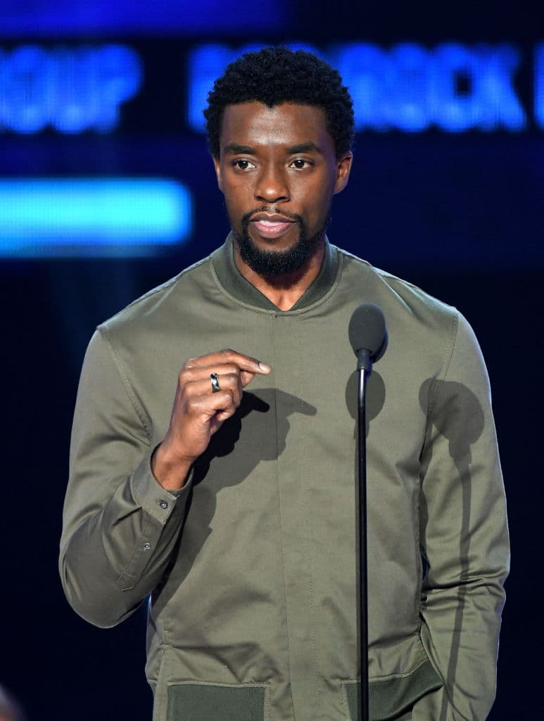 La primera entrega de Black Panther fue todo un éxito y recaudó varios millones de dólares.
<br>