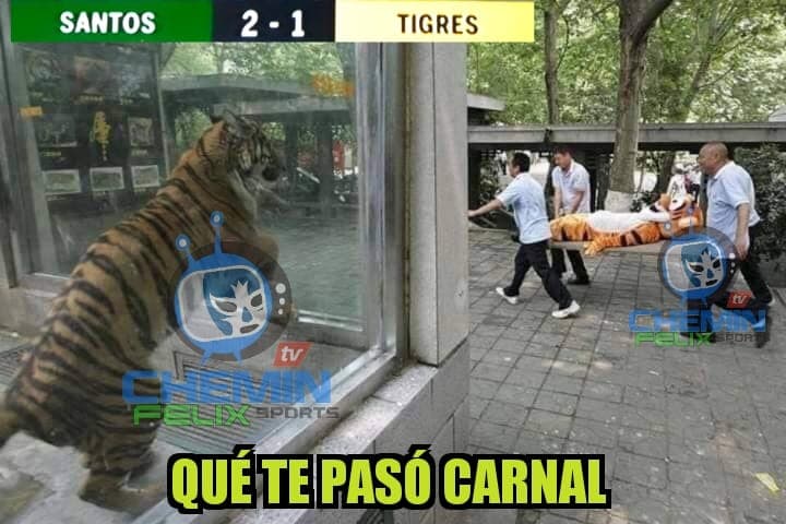 Estas son las imágenes más divertidas que ha dejado la sexta fecha en el balompié azteca.