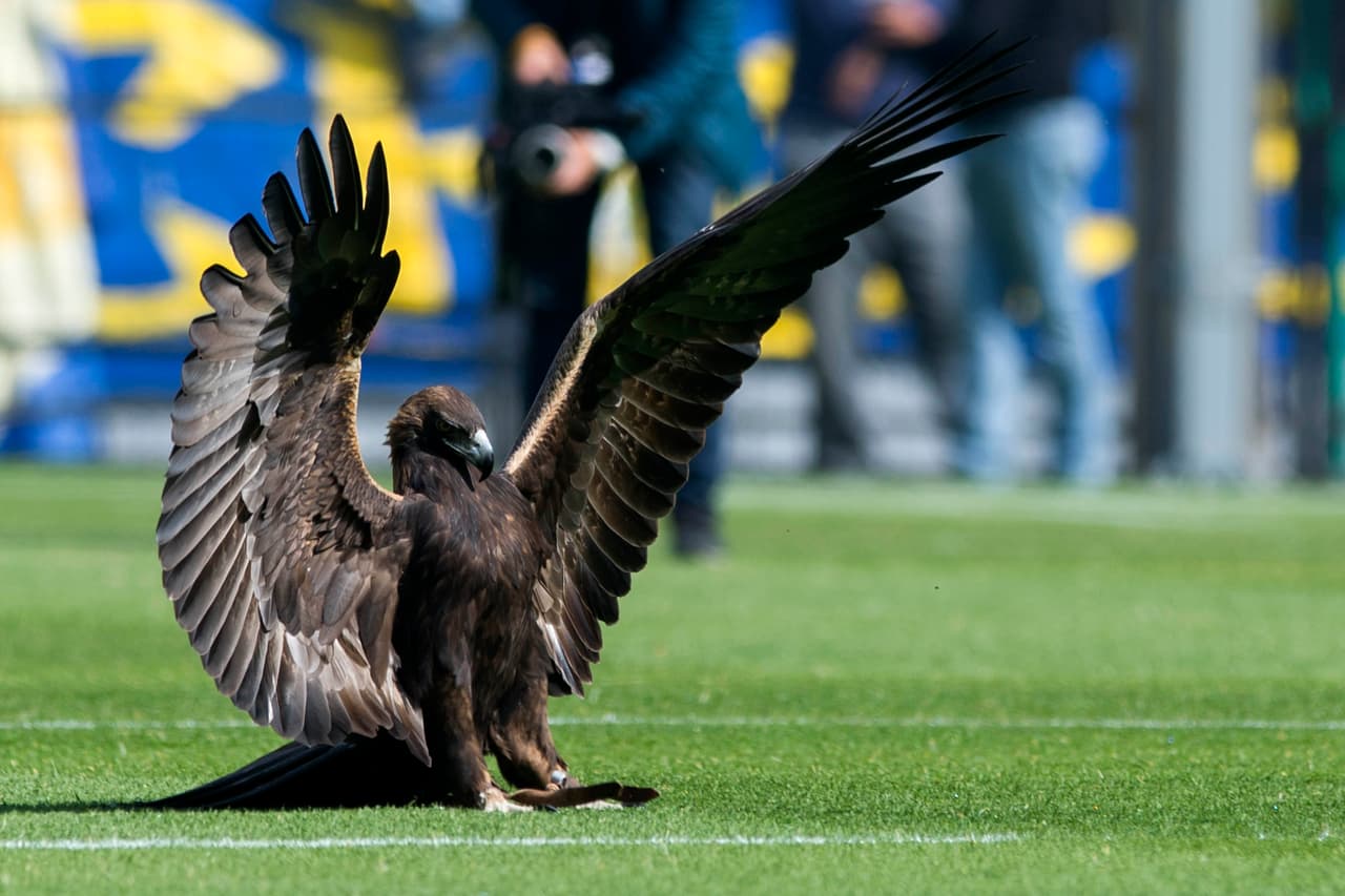 Las Águilas, tanto el equipo varonil y femenil, convivieron con los aficionados y se tomaron la foto oficial con ellos en el Estadio Azteca.