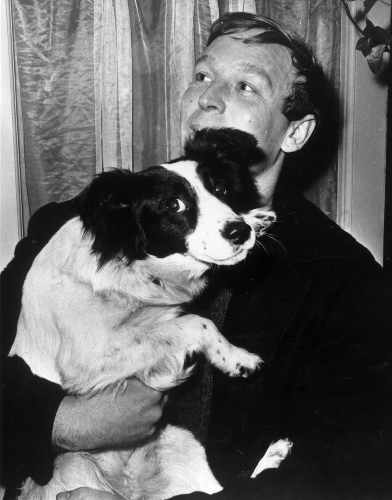 Detrás de esa gloria está Pickles, que falleció en 1967 ahorcado con su collar al estar amarrado y tratar de perseguir a un gato. Ello no le impidió entrar en la historia de los mundiales como héroe.