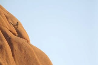 Las líneas de downhill MTB más increíbles que hayas visto