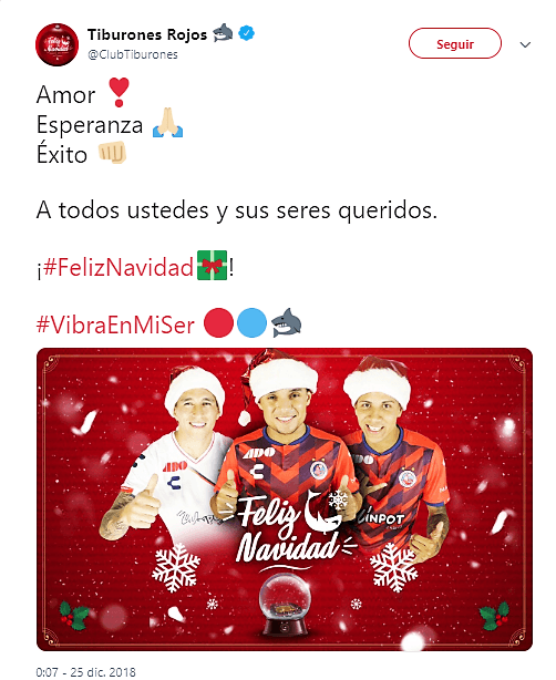 <b>Tiburones Rojos del Veracruz.</b>