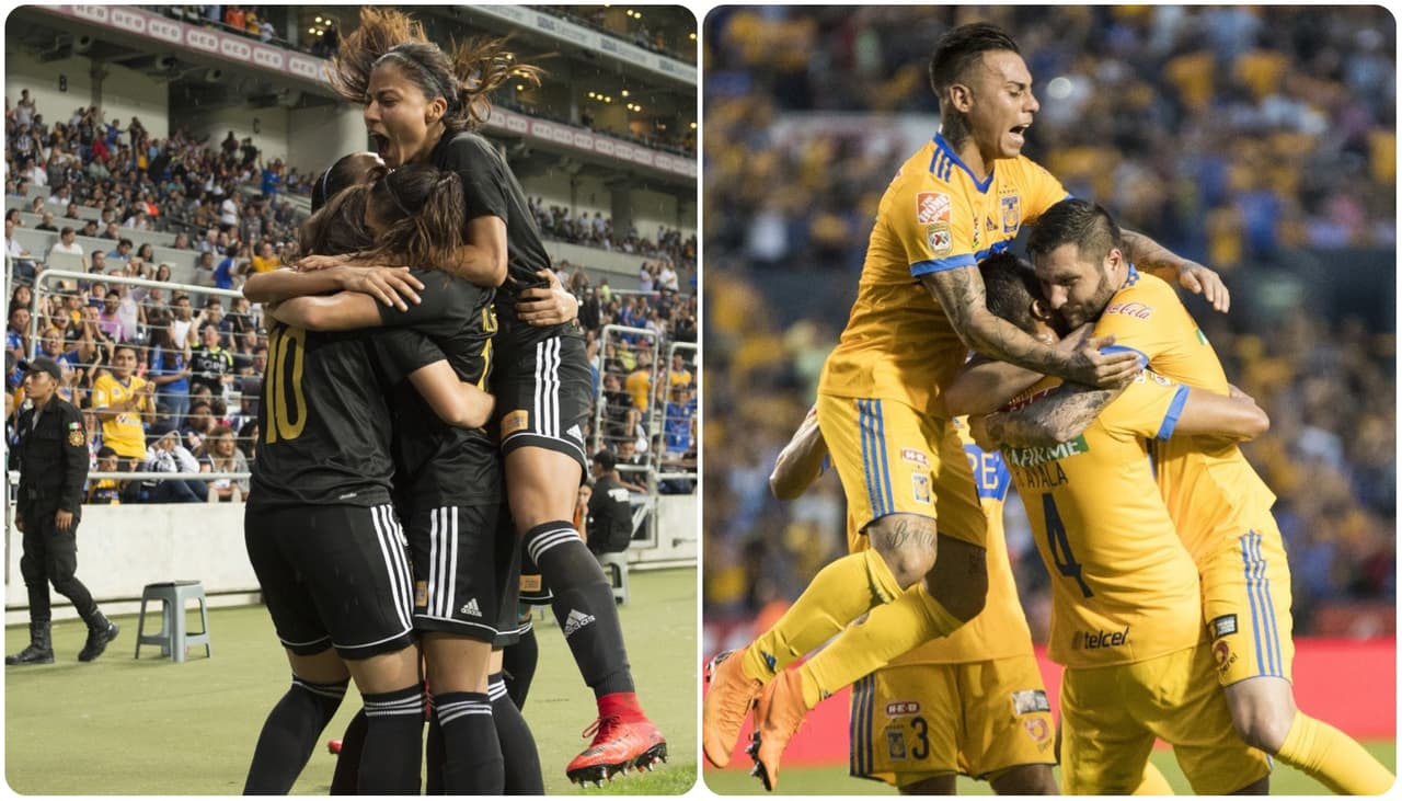 Tigres femenil y varonil