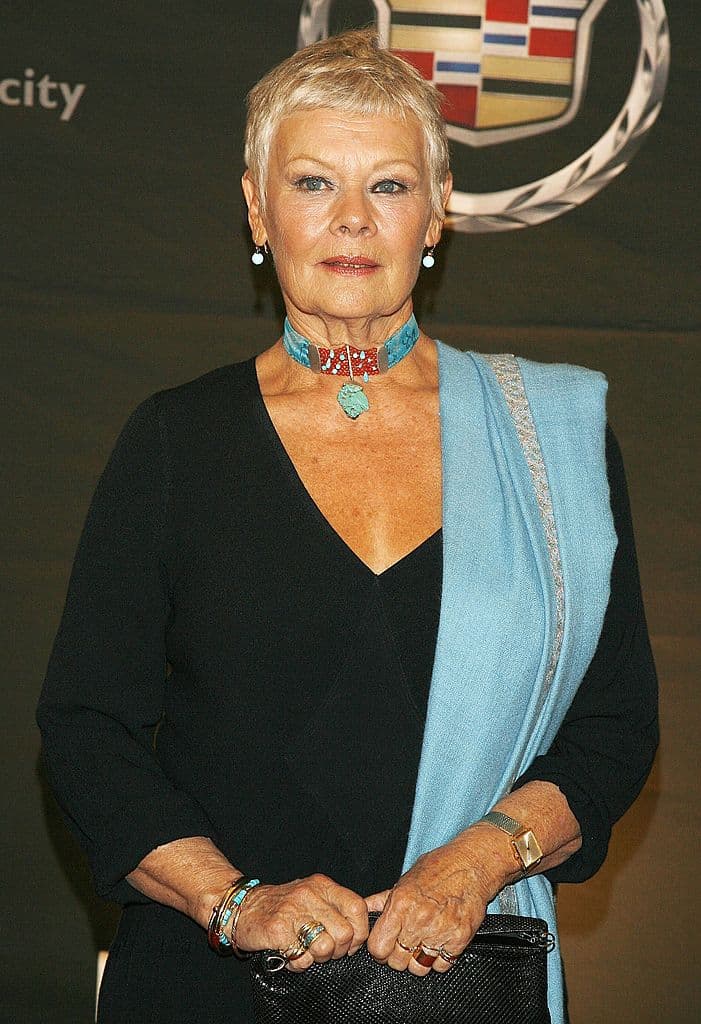 Esta actriz ha realizado dos importantes roles 'reales', la Reina Elizabeth 1 en 'Shakespeare in Love' y también a la Reina Victoria en la película 'Victoria & Abdul'.