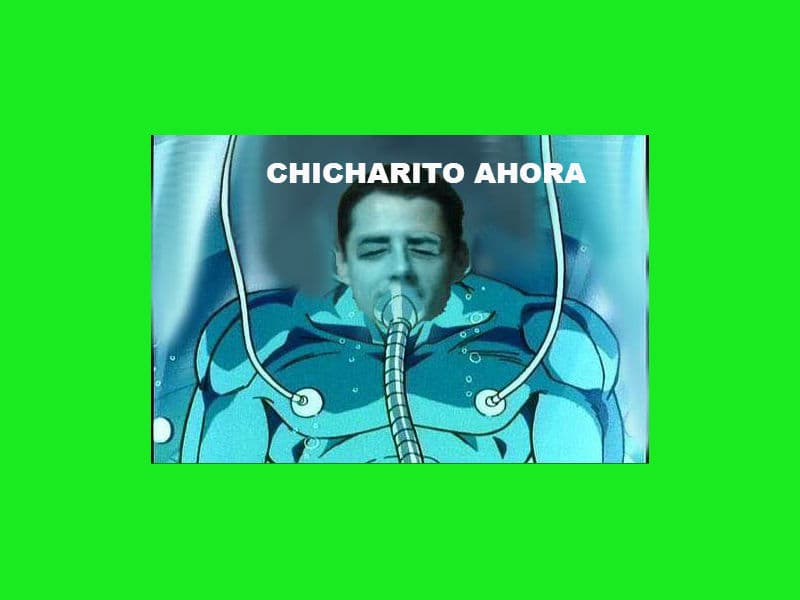 Memes Chicharito