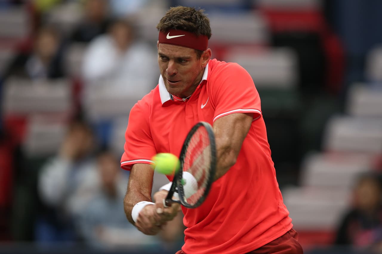 Juan Martín del Potro