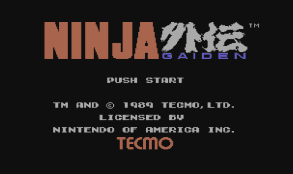 “Ninja Gaiden”