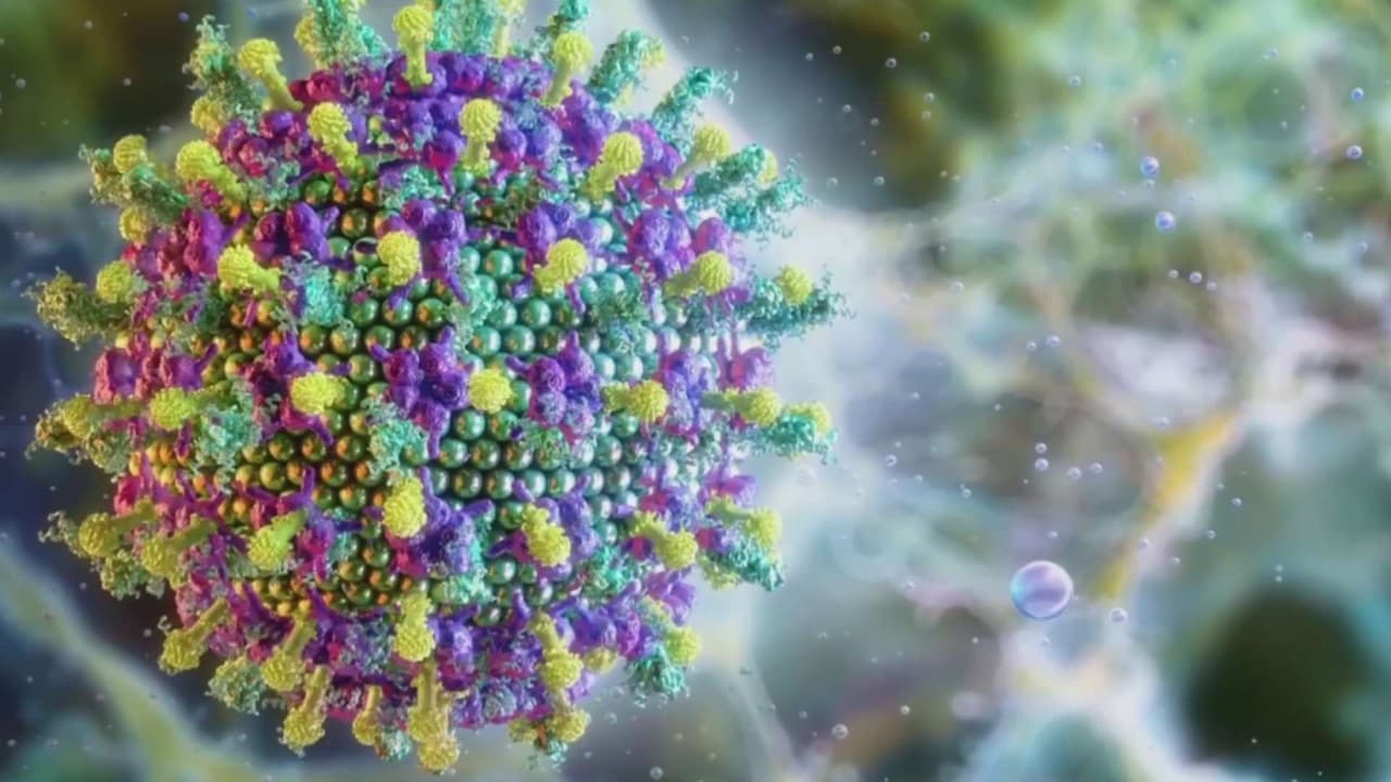 image?url=https%3A%2F%2Fst1.uvnimg