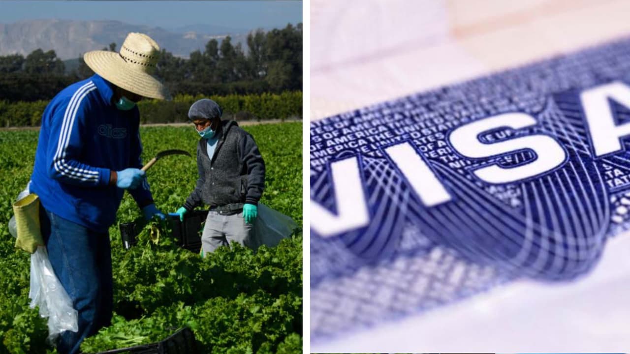 ¿Cómo tramitar visa de trabajo H-2 en EEUU desde San Luis Río Colorado, Sonora?: Te explicamos