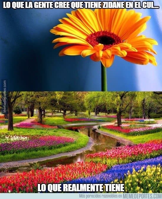 Los japoneses fueron aplaudidos por el juego que le brindaron a uno de los mejores equipos del mundo.