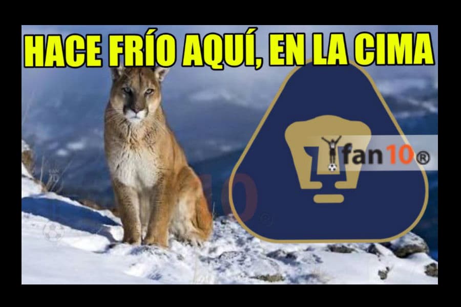 memes de la jornada 13 apertura 2015