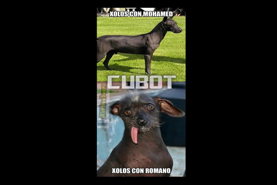 memes de la jornada 13 apertura 2015