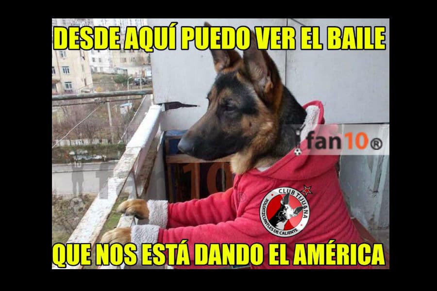 memes de la jornada 13 apertura 2015