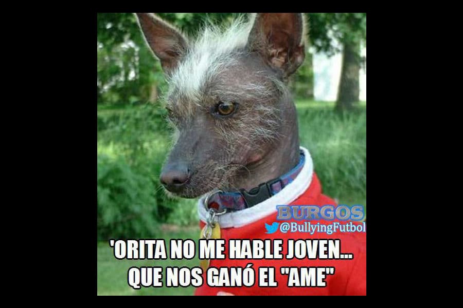 memes de la jornada 13 apertura 2015