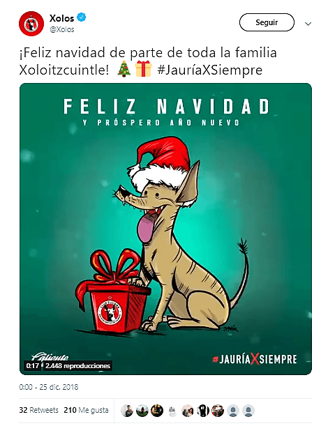 <b>Xolos de Tijuana.</b>