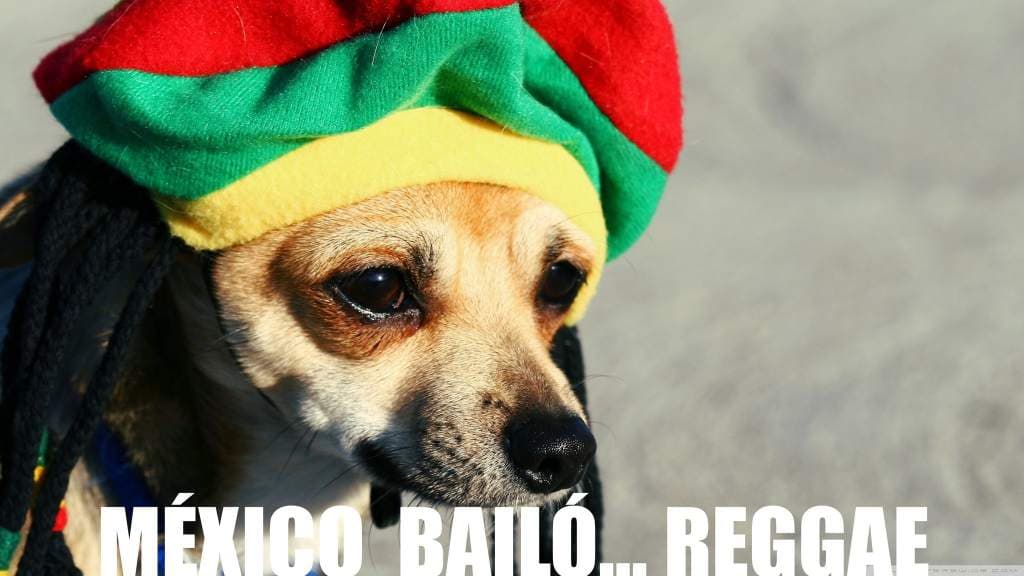 Internet se burla de la eliminación temprana sufrida por la Selección Mexicana de Fútbol y no es para menos. Estos son los mejores memes encontrados en las redes sociales.