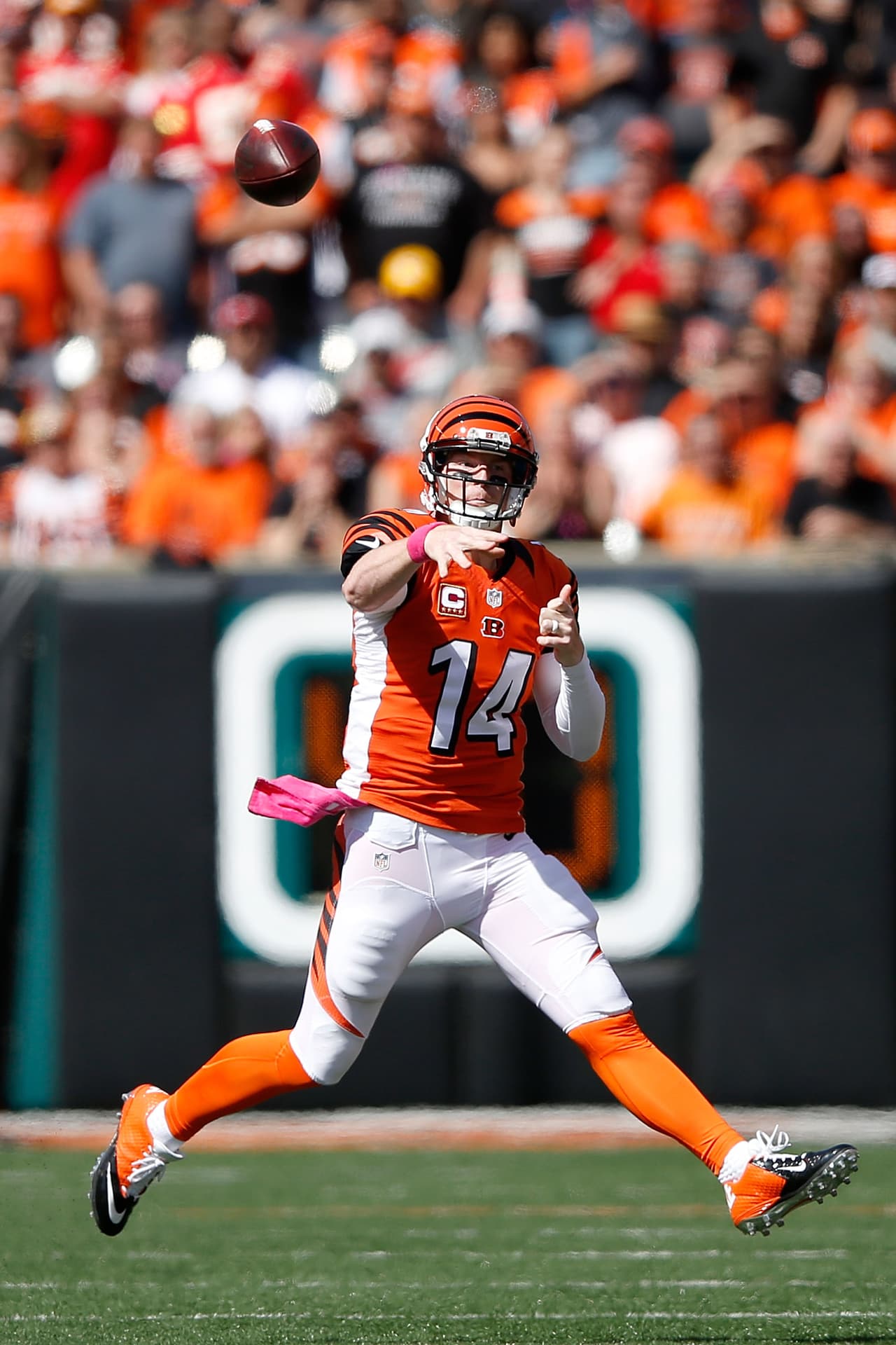 Jugador Ofensivo del Mes de Octubre AFC: QB Andy Dalton, Cincinnati Bengals