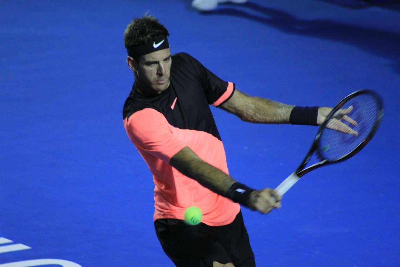 Del Potro jugó un partido inteligente y cauto, con golpes precisos y puntos en momentos clave.