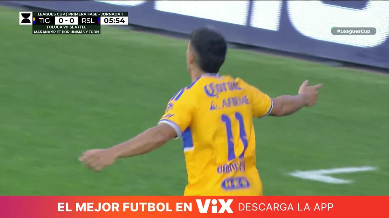 ¡Golazo de Tigres! Centro de Ozziel, Búfalo sirve y Brunetta empuja