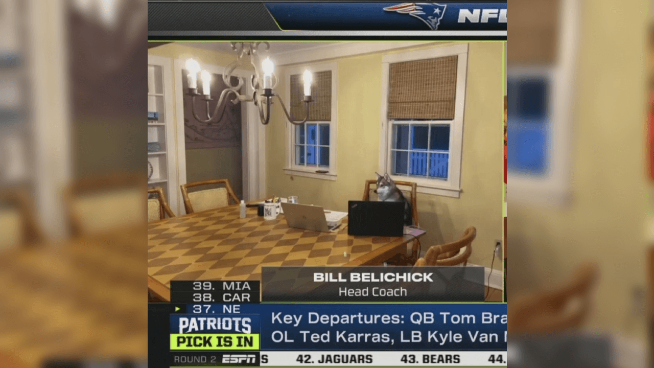 Durante esta celebración cuando es el turno de un equipo, enfocan al staff de coacheo, al head coach de Patriots loo captaron justo en el momento que se acerca, da un premio a su perro, lo acaricia y se va.