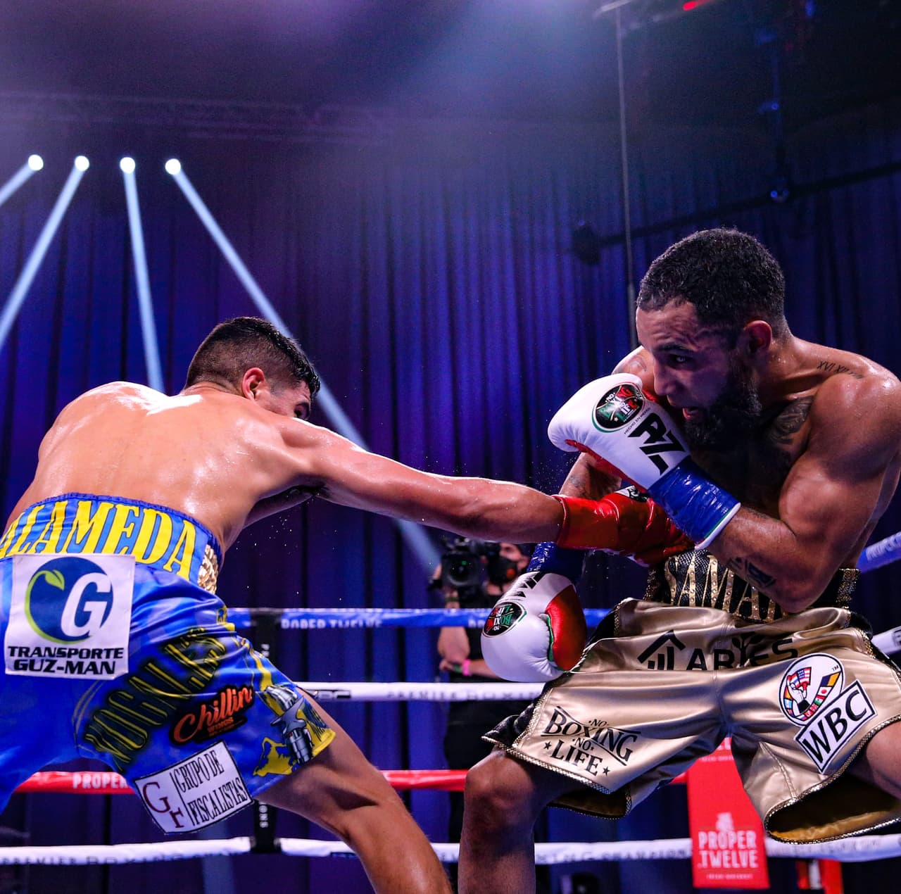 Pantera Nery derrota a Alameda y es campeón Supergallo del CMB