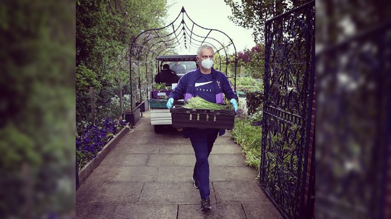 Los alimentos provienen directamente del huerto del club inglés. Es una muestra del compromiso que mantiene Tottenham con los sectores más necesitados.