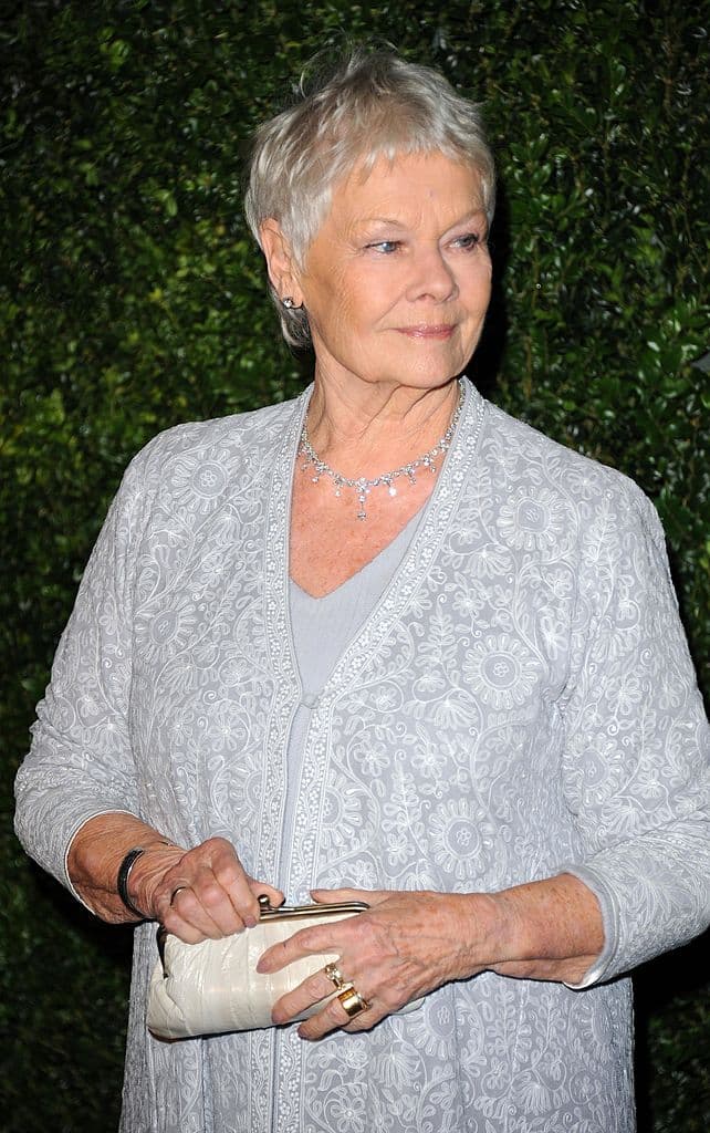 The Second Best Exotic Marigold Hotel (2015) - Es el sueño expansionista de Sonny y le exige más tiempo del que dispone, teniendo en cuenta su inminente matrimonio con el amor de su vida, Sunaina.
<br>