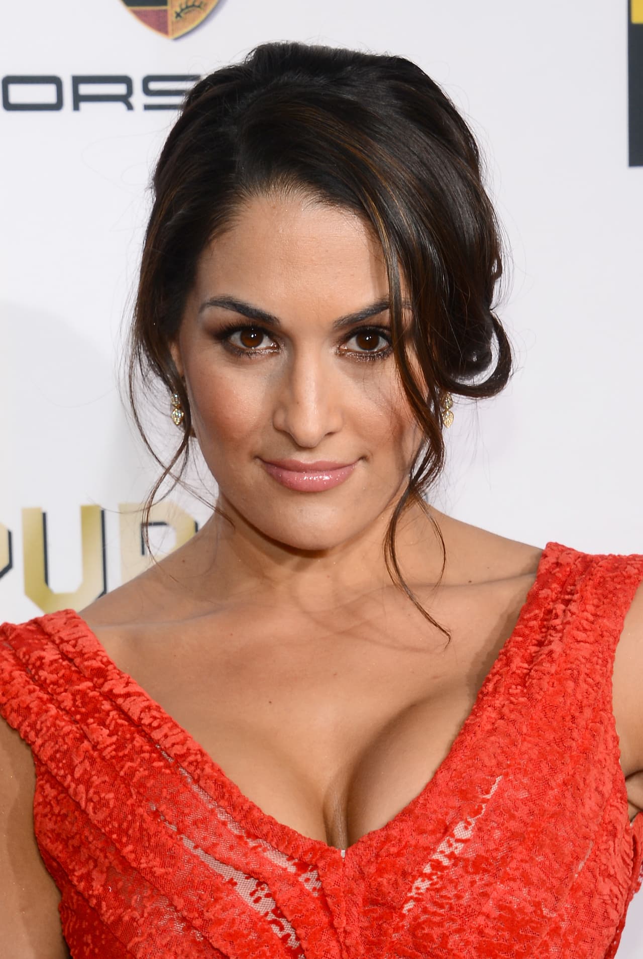 Las hermanas Bella son las dos figuras femeninas más reconocidas en la lucha de la WWE. Nikki es la campeona que más ha retenido el cinturón, mientras Brie es una de las más queridas por el público. Son atléticas, sensuales y unas guerreras que a pesar de su poder mantienen su atractivo físico para los fanáticos.