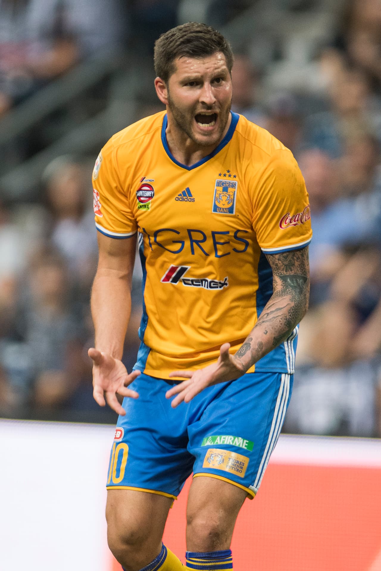 Tigres es el actual campeón del fútbol mexicano y por lo visto en la serie, tiene todo para defender su título.