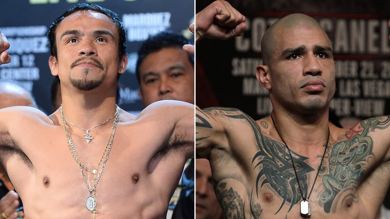 Juan Manuel Márquez y Miguel Cotto podrían enfrentarse