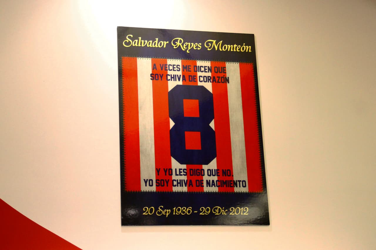 8. Salvador Reyes Monteón - Chivas de Guadalajara, 2013.