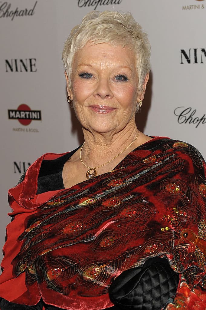 The Best Exotic Marigold Hotel (2011) 
<br>