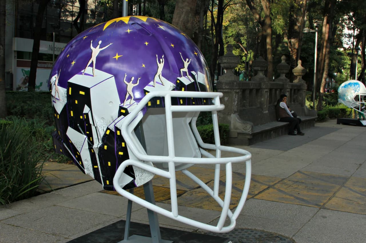 Minnesota Vikings
