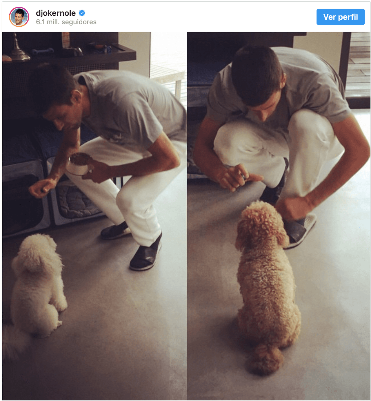 Novak Djokovic| Tenista